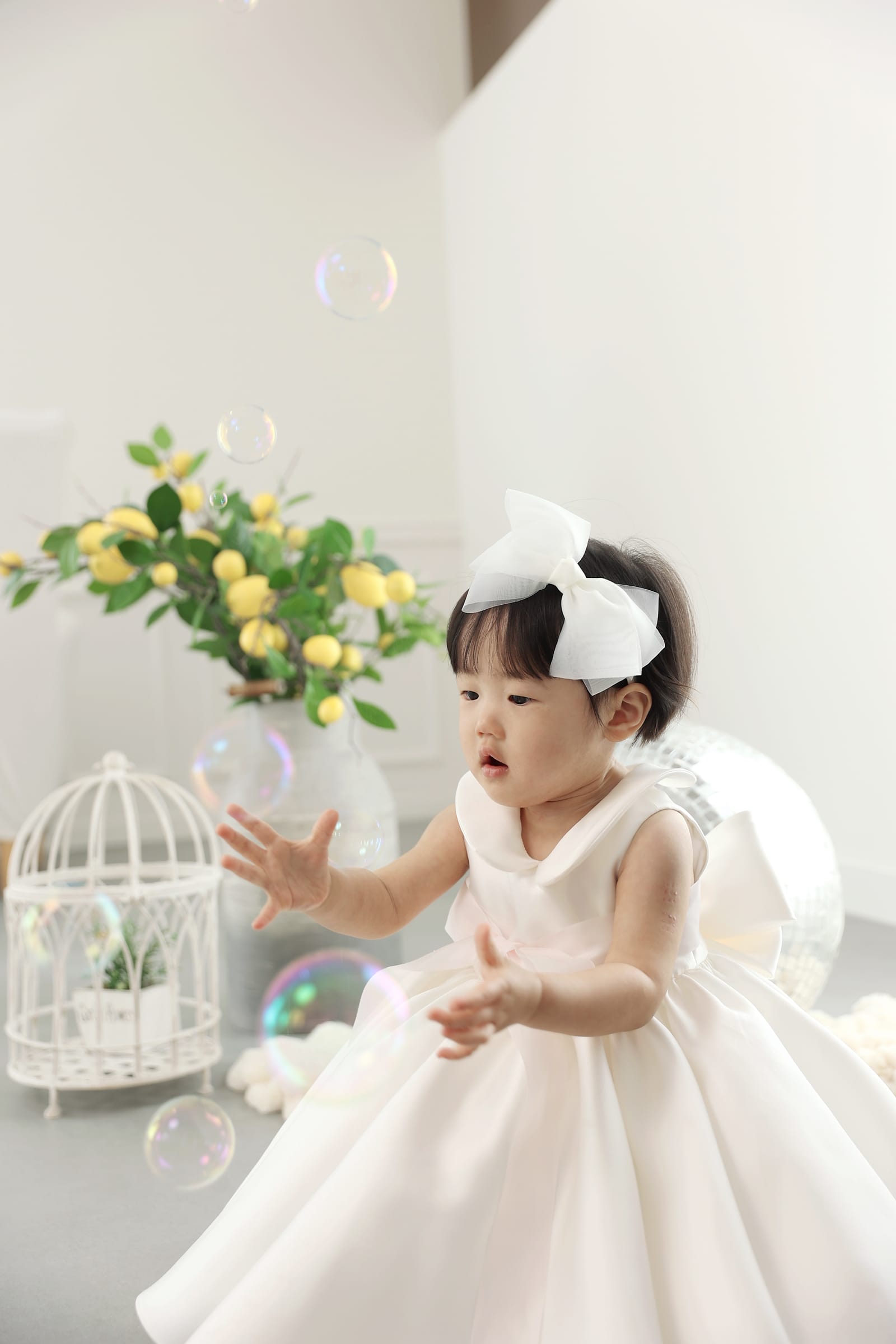 김포 돌사진